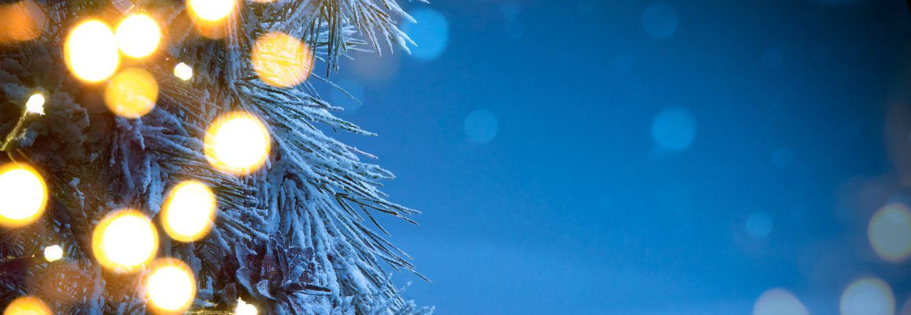 Magic Cristal Park - Benidorm - Magic Cristal Park - Benidorm -
